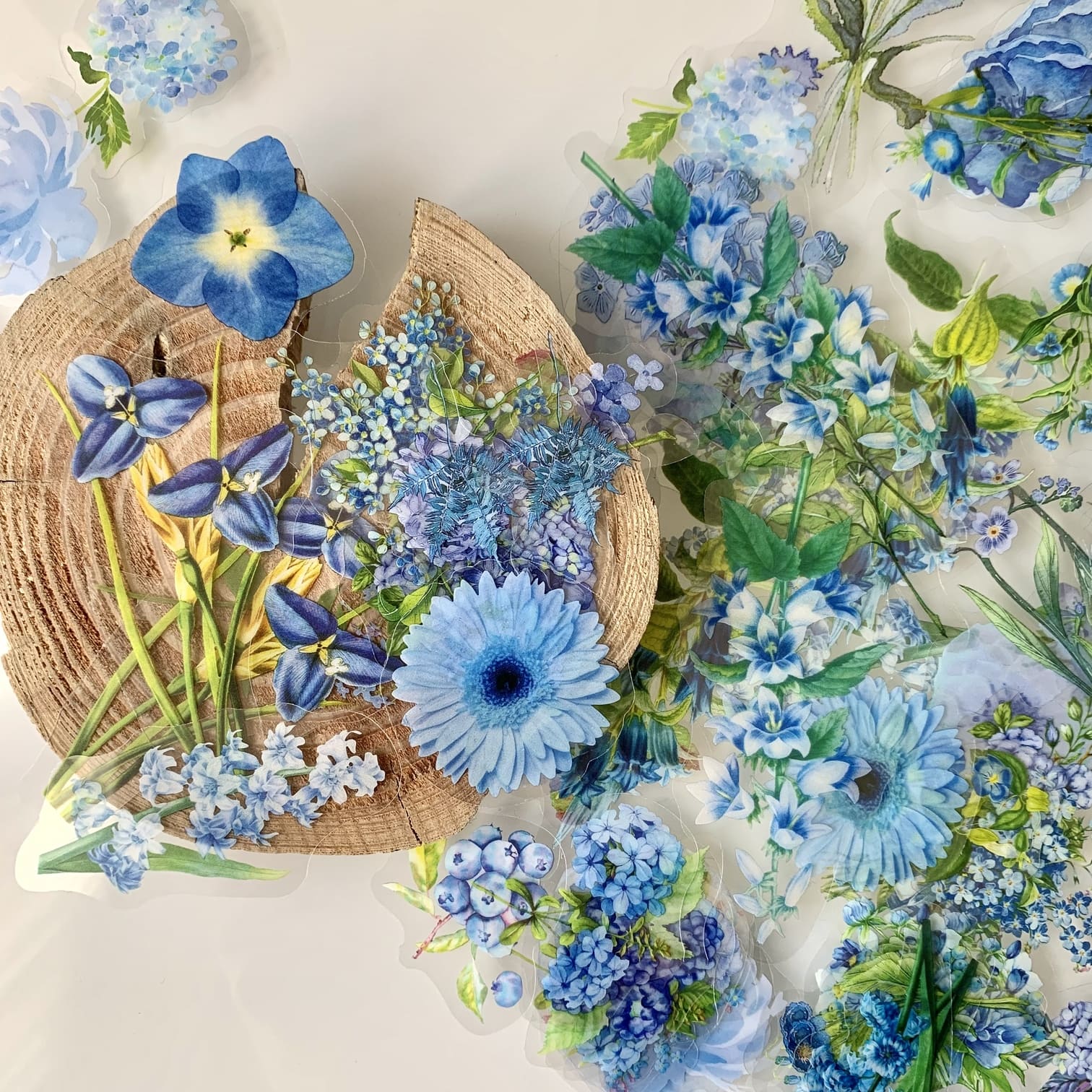 Stickers: Adesivi fiori trasparenti - Blu